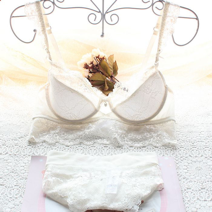Ultra Thin Lace Bra And Panty Set Back With Padded Lacy Plus Size Lingerie  In A D Cup Sizes Y200708 From Luo02, $11.57