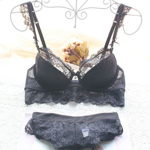 1pc/set Plus Size Ultra-thin Lace Bra And Panty Set, Sexy Lingerie